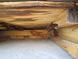 屋根の木下地補修
